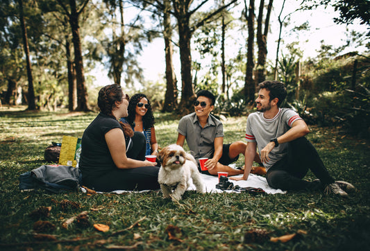 The Ultimate Outdoor Picnic Checklist: 15 Must-Have Items for a Perfect Day
