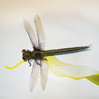 Handwoven Animal,Natural Woven Grass Decor