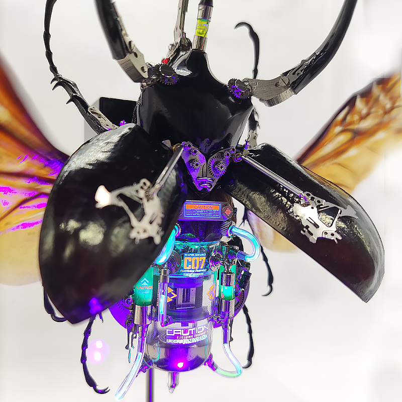 Steampunk Beetle Insect, Real Chalcosoma Atlas,  Wall Decor, Ornament Aesthetic Art, Tech Art Gift, Biomechanical Art