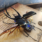 Steampunk Beetle Insect, Real Chalcosoma Atlas,  Wall Decor, Ornament Aesthetic Art, Tech Art Gift, Biomechanical Art