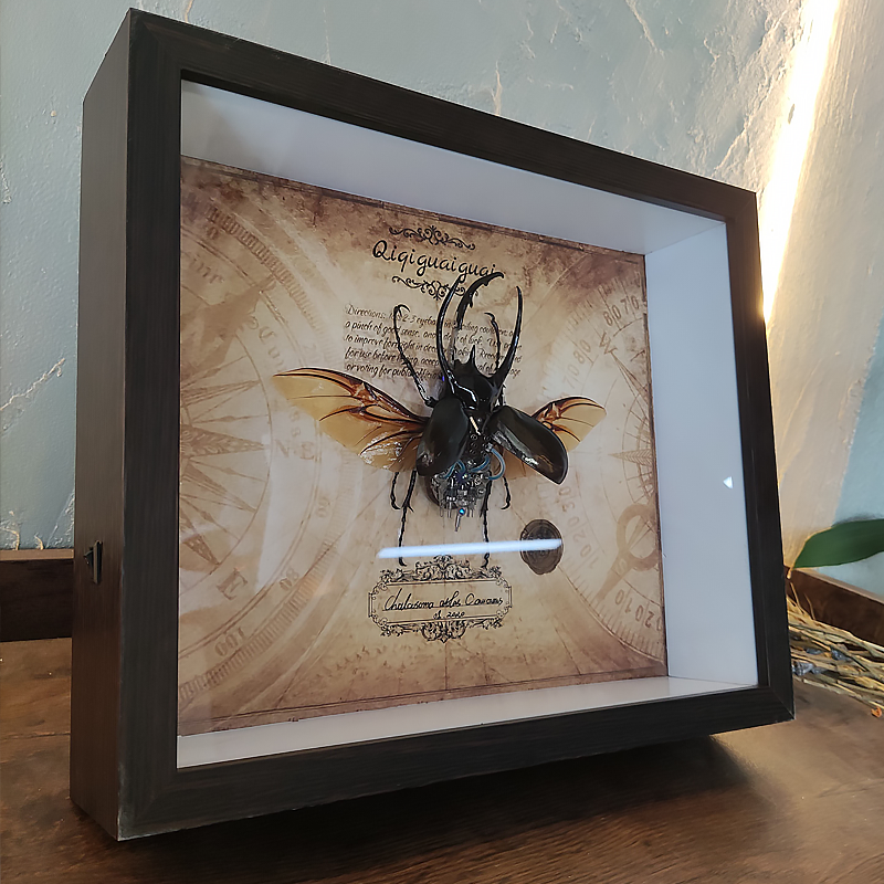 Steampunk Beetle Insect, Real Chalcosoma Atlas,  Wall Decor, Ornament Aesthetic Art, Tech Art Gift, Biomechanical Art