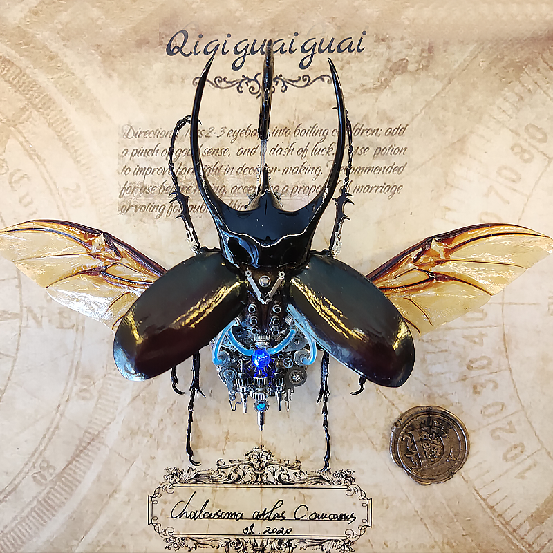 Steampunk Beetle Insect, Real Chalcosoma Atlas,  Wall Decor, Ornament Aesthetic Art, Tech Art Gift, Biomechanical Art