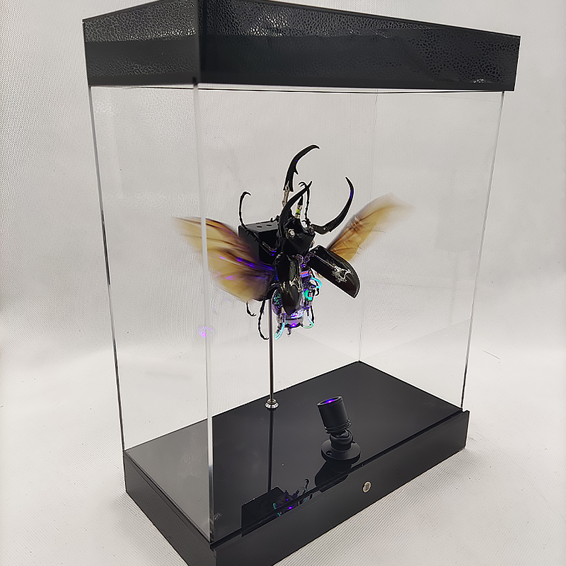 Steampunk Beetle Insect, Real Chalcosoma Atlas,  Wall Decor, Ornament Aesthetic Art, Tech Art Gift, Biomechanical Art